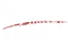 GeoThings