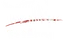 GeoThings